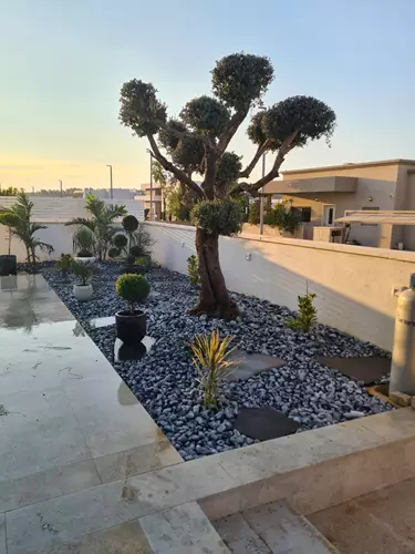 עיצוב ושדרוג גינה פרטית 2